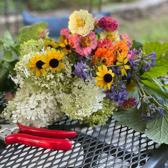 Meet your Posher, Stephanie - Picture 5 of 10